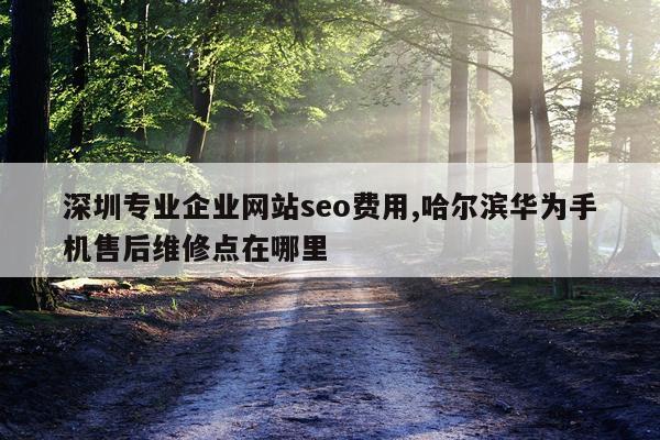 深圳专业企业网站seo费用,哈尔滨华为手机售后维修点在哪里
