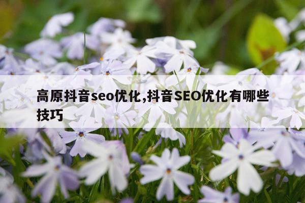 高原抖音seo优化,抖音SEO优化有哪些技巧