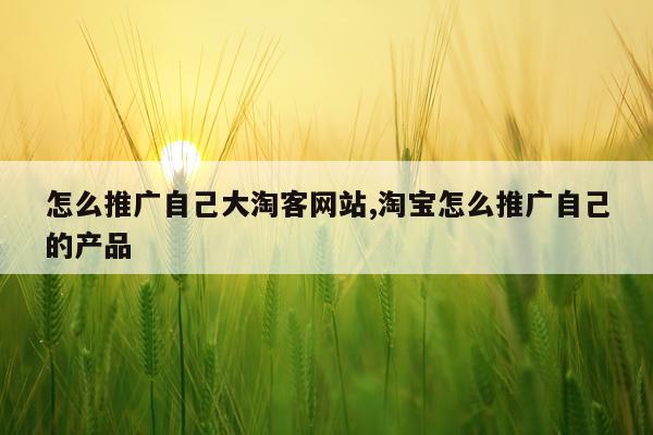 怎么推广自己大淘客网站,淘宝怎么推广自己的产品