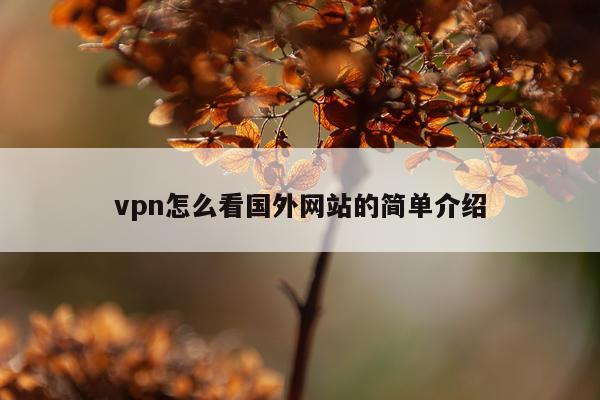 vpn怎么看国外网站的简单介绍