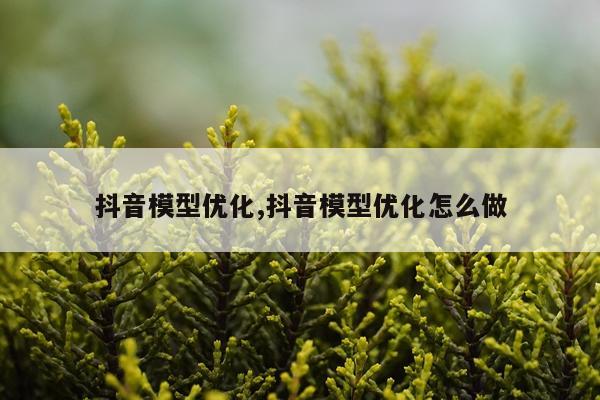 抖音模型优化,抖音模型优化怎么做