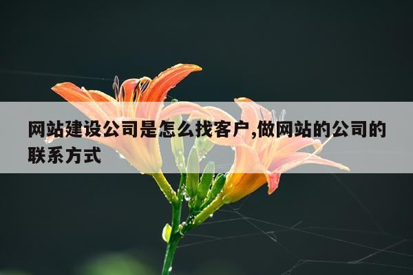 网站建设公司是怎么找客户,做网站的公司的联系方式