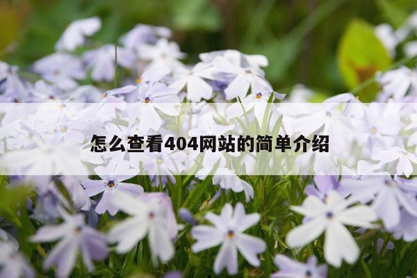 怎么查看404网站的简单介绍