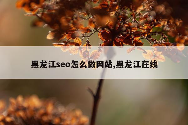 黑龙江seo怎么做网站,黑龙江在线