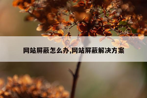 网站屏蔽怎么办,网站屏蔽解决方案