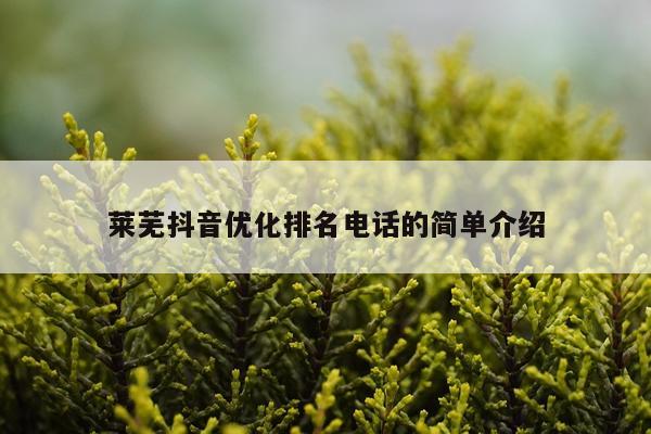 莱芜抖音优化排名电话的简单介绍