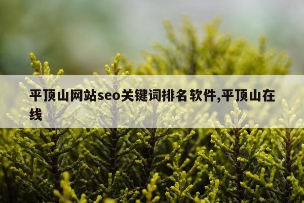 平顶山网站seo关键词排名软件,平顶山在线