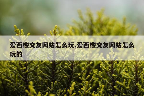 爱西楼交友网站怎么玩,爱西楼交友网站怎么玩的