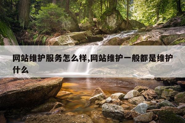 网站维护服务怎么样,网站维护一般都是维护什么