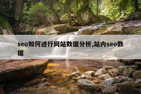 seo如何进行网站数据分析,站内seo数据