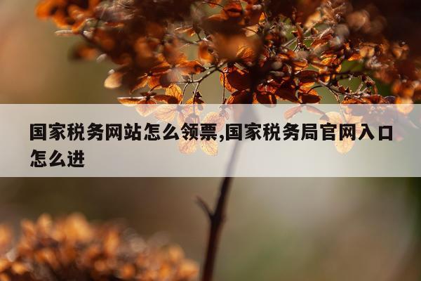 国家税务网站怎么领票,国家税务局官网入口怎么进