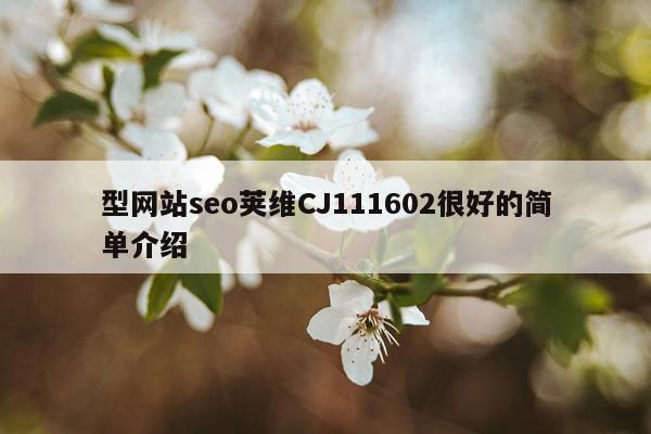 型网站seo荚维CJ111602很好的简单介绍