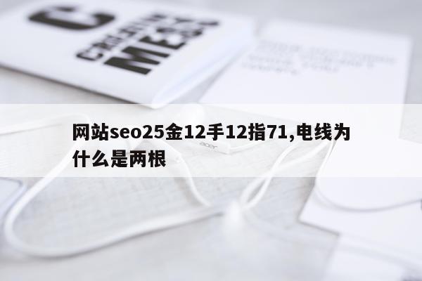 网站seo25金12手12指71,电线为什么是两根