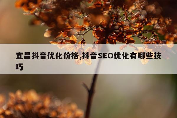 宜昌抖音优化价格,抖音SEO优化有哪些技巧