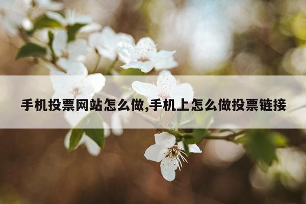 手机投票网站怎么做,手机上怎么做投票链接