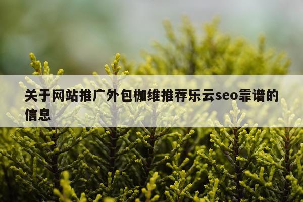 关于网站推广外包枷维推荐乐云seo靠谱的信息