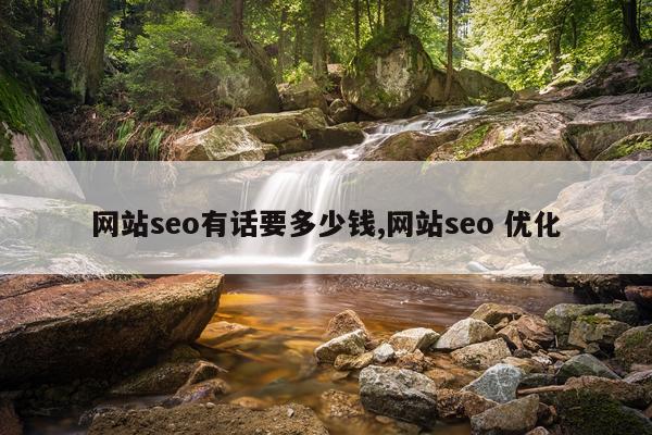 网站seo有话要多少钱,网站seo 优化