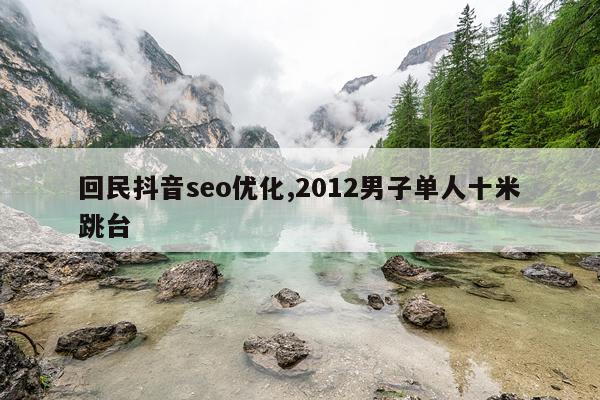 回民抖音seo优化,2012男子单人十米跳台