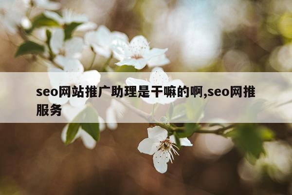 seo网站推广助理是干嘛的啊,seo网推服务