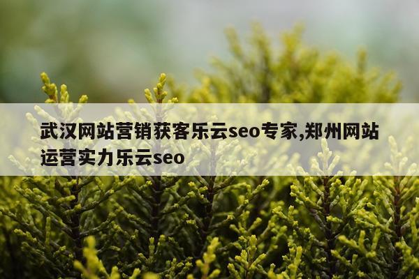 武汉网站营销获客乐云seo专家,郑州网站运营实力乐云seo