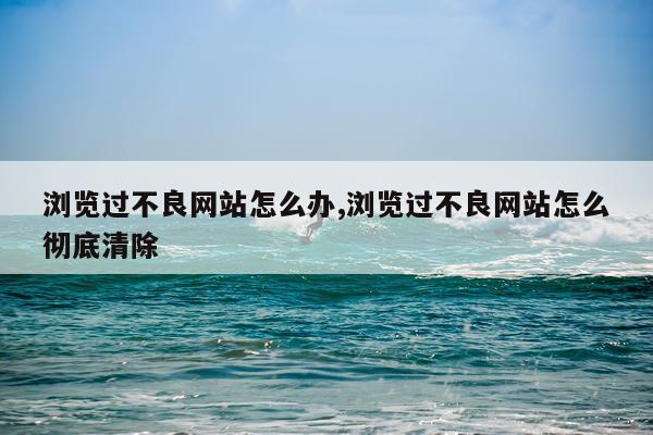 浏览过不良网站怎么办,浏览过不良网站怎么彻底清除