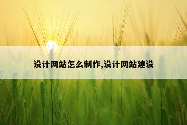 设计网站怎么制作,设计网站建设