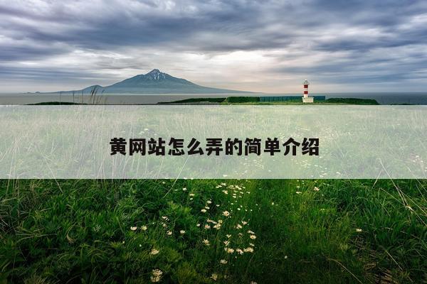 黄网站怎么弄的简单介绍