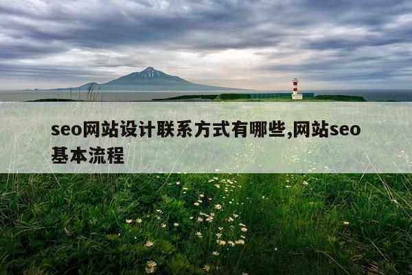 seo网站设计联系方式有哪些,网站seo基本流程
