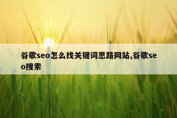 谷歌seo怎么找关键词思路网站,谷歌seo搜索