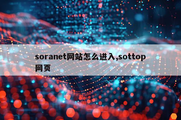 soranet网站怎么进入,sottop网页