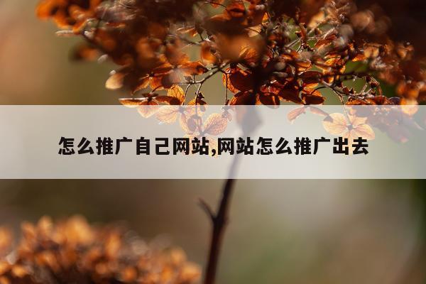 怎么推广自己网站,网站怎么推广出去
