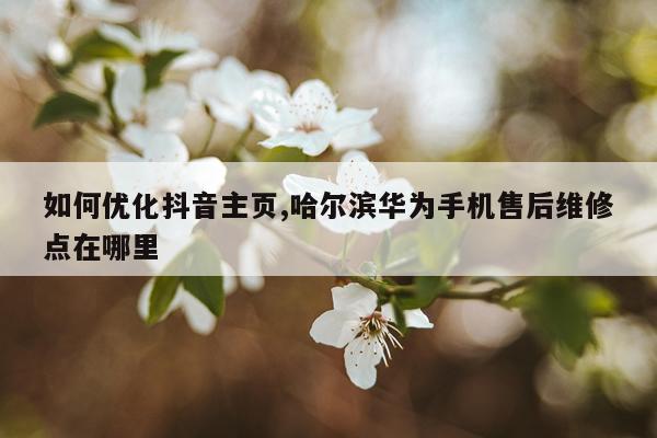 如何优化抖音主页,哈尔滨华为手机售后维修点在哪里