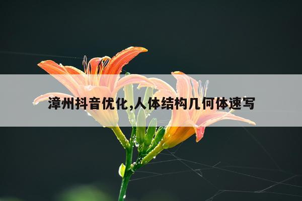 漳州抖音优化,人体结构几何体速写