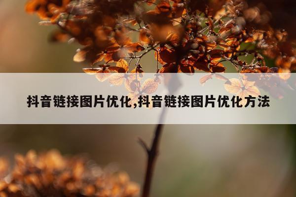 抖音链接图片优化,抖音链接图片优化方法