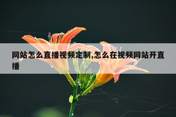 网站怎么直播视频定制,怎么在视频网站开直播