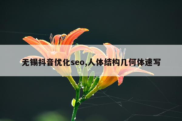 无锡抖音优化seo,人体结构几何体速写