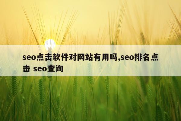 seo点击软件对网站有用吗,seo排名点击 seo查询
