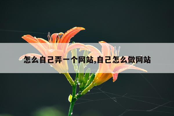 怎么自己弄一个网站,自己怎么做网站