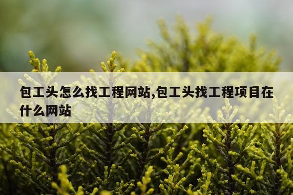 包工头怎么找工程网站,包工头找工程项目在什么网站