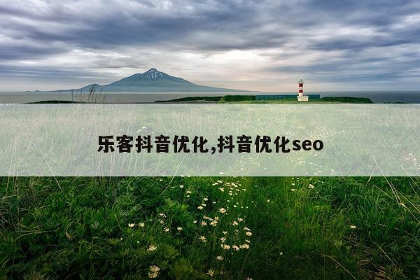 乐客抖音优化,抖音优化seo