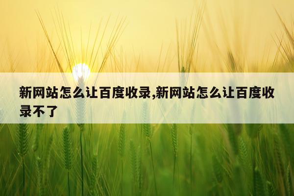 新网站怎么让百度收录,新网站怎么让百度收录不了