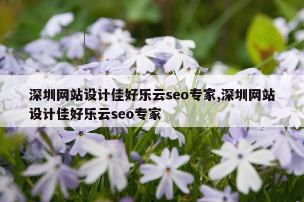 深圳网站设计佳好乐云seo专家,深圳网站设计佳好乐云seo专家