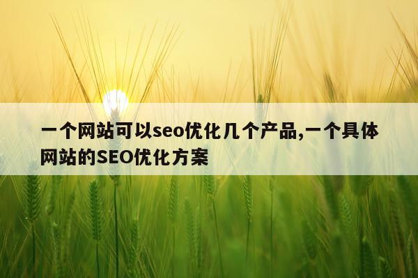 一个网站可以seo优化几个产品,一个具体网站的SEO优化方案