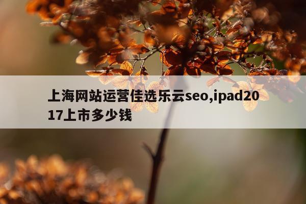 上海网站运营佳选乐云seo,ipad2017上市多少钱