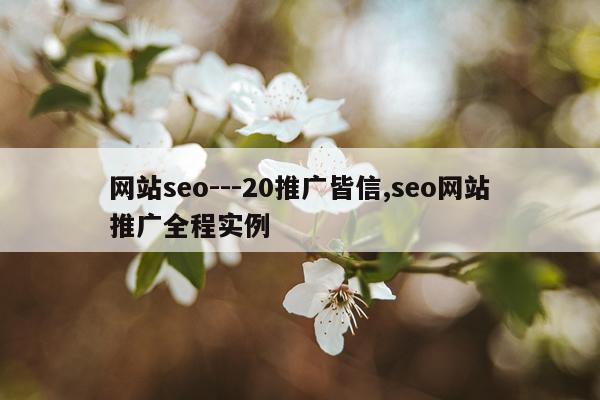 网站seo---20推广皆信,seo网站推广全程实例