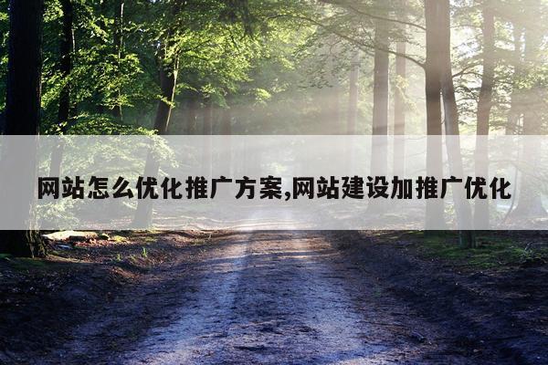 网站怎么优化推广方案,网站建设加推广优化