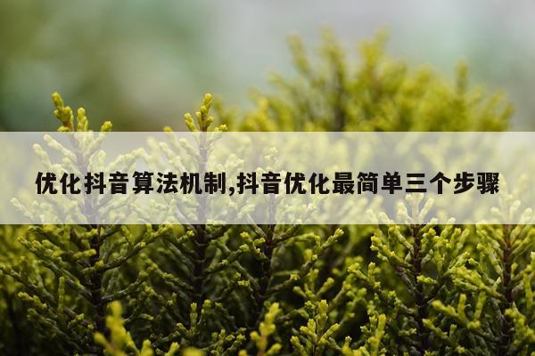 优化抖音算法机制,抖音优化最简单三个步骤