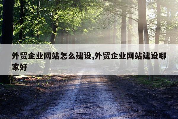 外贸企业网站怎么建设,外贸企业网站建设哪家好