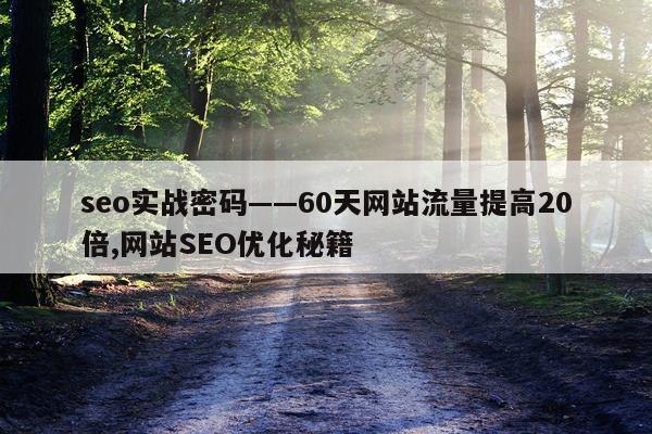 seo实战密码——60天网站流量提高20倍,网站SEO优化秘籍