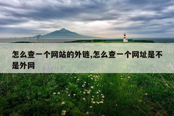怎么查一个网站的外链,怎么查一个网址是不是外网